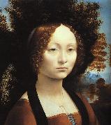  Leonardo  Da Vinci Portrait of Ginerva de'Benci Sweden oil painting reproduction